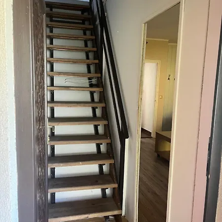 Roland Haz בלטונללה