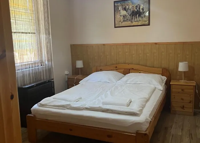 Roland Haz Tatil Evi Balatonlelle